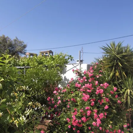 Anthula Sun أرخانجلوس