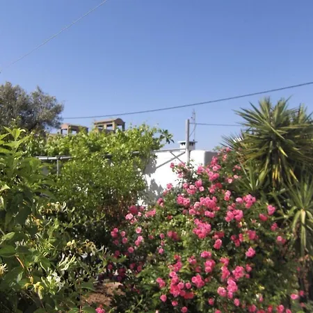 فندق Anthula Sun أرخانجلوس