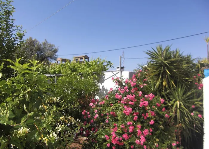 Anthula Sun アルハンゲロス