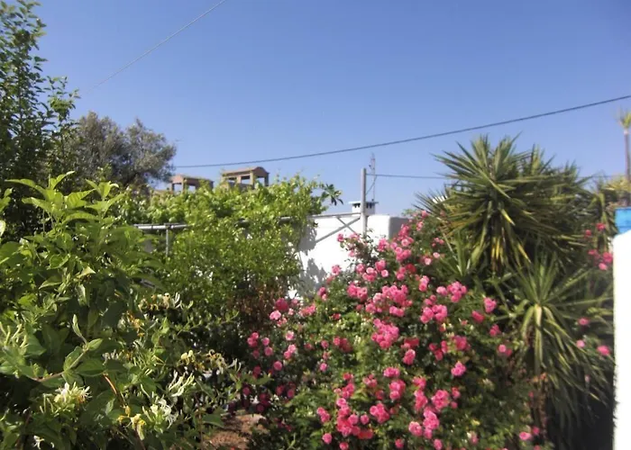 ホテル Anthula Sun アルハンゲロス